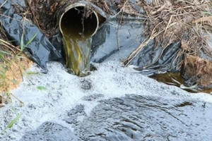 Trại lợn ngàn con “bức tử” môi trường bị xử phạt 320 triệu đồng