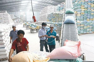 Nhiều hợp đồng xuất khẩu gạo lớn được ký kết