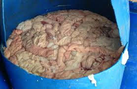 Bắt giữ trên 1 tấn lòng lợn thối