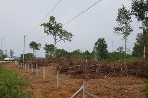 Loạn đất trên đảo Phú Quốc: 'Xã hội đen' lộng hành?