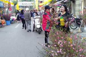 Nhộn nhịp chợ hoa Tết truyền thống phố cổ Hà Nội