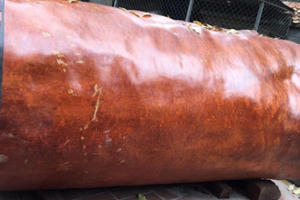 Bí ẩn khúc gỗ dài 3 mét, đại gia Hải Phòng trả giá gần 4 tỷ