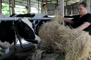 Vinamilk giúp nông dân nâng cao năng lực cạnh tranh hội nhập TPP