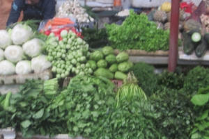 Hà Nội rét đậm kéo dài, giá rau xanh tăng mạnh