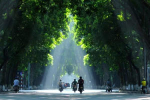 Quy hoạch Thủ đô: Nhiều cây xanh, đường phải thẳng… Quy hoạch Thủ đô: Nhiều cây xanh, đường phải thẳng…