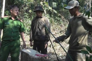 Đắk Lắk: Bắt quả tang nhóm "lâm tặc" ngang nhiên vào rừng chặt hạ gỗ trái phép