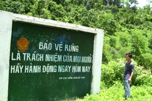 Ngăn chặn tình trạng phá rừng, lấn chiếm đất rừng