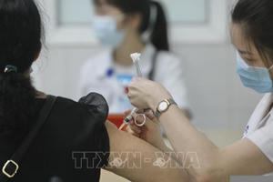 Hồ sơ của vaccine Nano Covax đã được chuyển sang Hội đồng Tư vấn cấp giấy đăng ký lưu hành thuốc