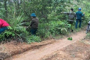 Tìm thấy bé trai gần 3 tuổi lạc trong rừng