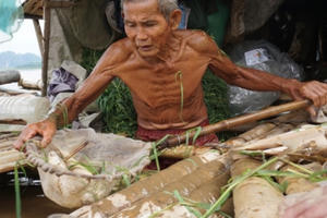 Thanh Hóa: Cá lồng lại chết bất thường trên sông Mã