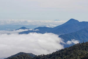 Những người quên Tết giữ báu vật của rừng