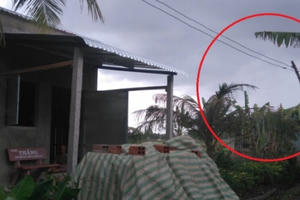 Bạc Liêu: Mòn mỏi chờ điện lưới quốc gia