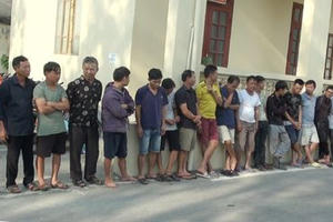 Bắt giữ nhóm 'cẩu tặc' trộm hàng trăm tấn chó