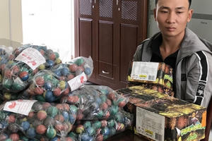 Đồng Nai kiên quyết xử lý nạn đốt pháo dịp Tết Nguyên đán 2020