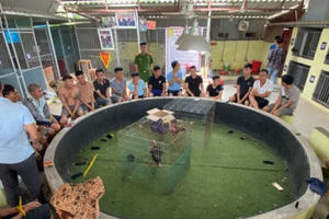 Bắc Giang: Triệt phá tụ điểm đánh bạc dưới hình thức "Đá gà" bắt giữ 30 đối tượng