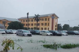 Toyota Việt Nam 'lập lờ' vụ đại lý Quảng Bình bán xe ngập nước