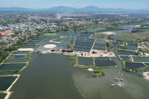 Quảng Nam: Công bố kế hoạch thu hồi đất để thực hiện dự án nạo vét sông Cổ Cò