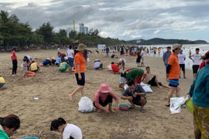 Kỳ lạ: Hải sản ồ ạt “đổ bộ” vào bãi biển, dân hồ hởi đi “hái lộc”