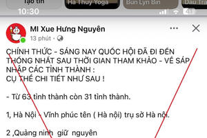 Nghệ An: Xử phạt người đăng tin sai sự thật về sáp nhập tỉnh, thành