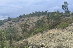 Xử lý 4 người ở Đắk Lắk dùng máy xúc cào xới, lấn chiếm đất lâm nghiệp