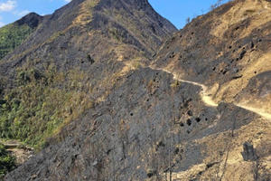 Khống chế cơ bản vụ cháy Vườn quốc gia Hoàng Liên, 30 ha rừng bị thiêu rụi