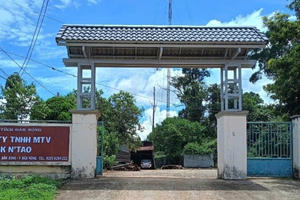 Nhiều cán bộ, nhân viên của công ty lâm nghiệp bị tấn công khi đi kiểm tra rừng