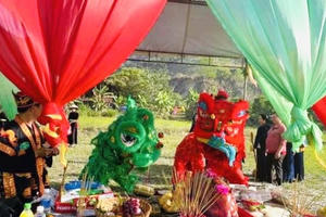 Nét văn hoá lễ hội Lồng Tồng tại Đồng Nai