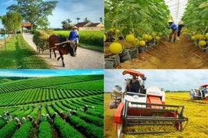 Tiếp tục đổi mới, phát triển và nâng cao hiệu quả kinh tế tập thể