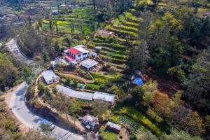 Mê mẩn trang trại bậc thang không hóa chất trên núi cao 1.500m