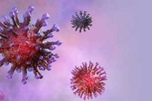 Chủng virus corona sợ thứ gì nhất?