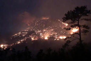 Quảng Ninh liên tiếp cháy rừng tại nhiều địa phương, hàng trăm người tham gia dập lửa