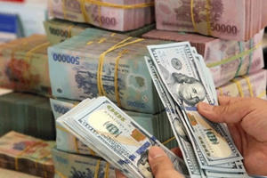 Dự trữ ngoại hối gia tăng góp phần ổn định tỷ giá