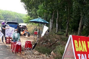 Loạt chính sách, quy định sửa đổi sẽ tác động mạnh thị trường bất động sản