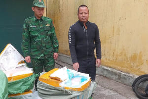 Bắt giữ vụ vận chuyển gần 880 kg nầm lợn đông lạnh không rõ nguồn gốc