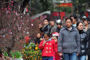 Hà Nội: Tổ chức chợ hoa xuân tại 47 địa điểm trên toàn Thành phố