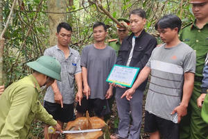 Lâm Đồng: Nhân viên quản lý bảo vệ rừng cùng "lâm tặc" phá rừng