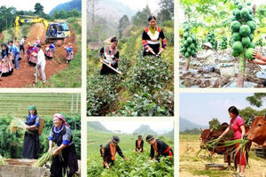 Thủ tướng Chính phủ đôn đốc triển khai quyết liệt các chương trình mục tiêu quốc gia