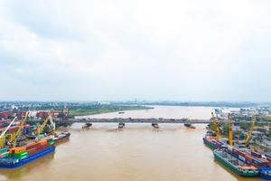 Đồng Nai thành lập Tổ Điều phối do lãnh đạo các Sở đứng đầu