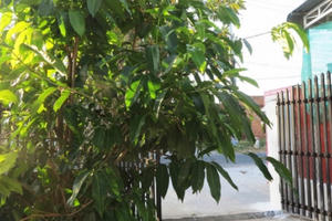 Sinh hai con xong, vợ tôi ăn mặc lôi thôi, người toàn mùi sữa