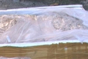 Mang lòng lợn thối từ Quảng Nam ra Bắc Ninh tiêu thụ