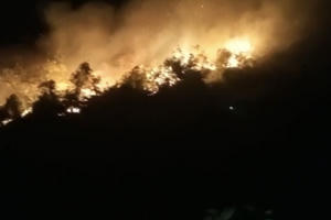 Sa Pa cơ bản khống chế thành công 2 vụ cháy rừng ở thôn Suối Thầu 2