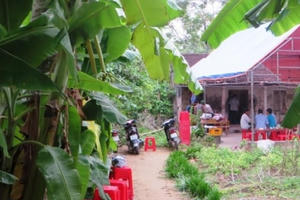 Nghệ An: Nghi án con trai sát hại bố đẻ nằm trên vũng máu