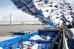 Tại sao 24 thương nhân không xuất khẩu gạo không bị thu hồi Giấy chứng nhận?
