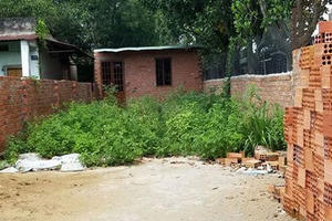 Đất như vô chủ