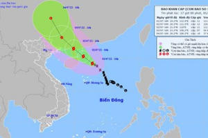 Thủ tướng Chính phủ yêu cầu tập trung ứng phó bão số 1 và mưa lũ