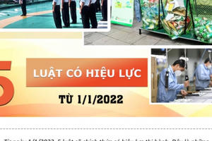 INFOGRAPHICS - 5 Luật có hiệu lực từ 1/1/2022