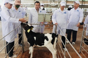 Tây Ninh "trải thảm đỏ" thu hút đầu tư vào nông nghiệp công nghệ từ châu Âu