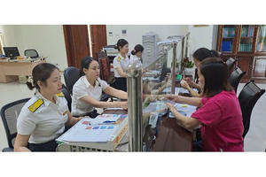 Tiếp tục sắp xếp lại cơ quan thuế, kho bạc, thống kê, bảo hiểm xã hội