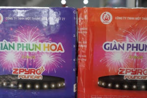 Hà Tĩnh: Lên mạng lừa bán pháo hoa chiếm đoạt gần 200 triệu đồng