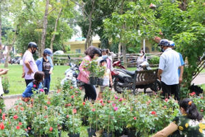 TP HCM: Chiều cuối năm, thương lái bán xổ hoa 50 nghìn đồng/chậu